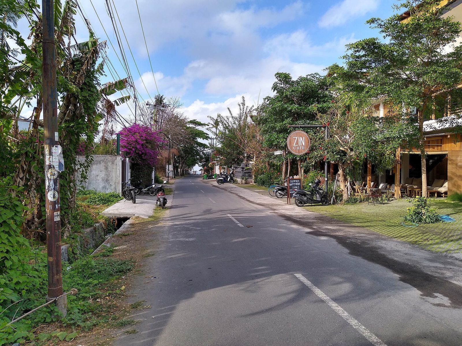 Quiet two-lane street lined with trees in Canggu