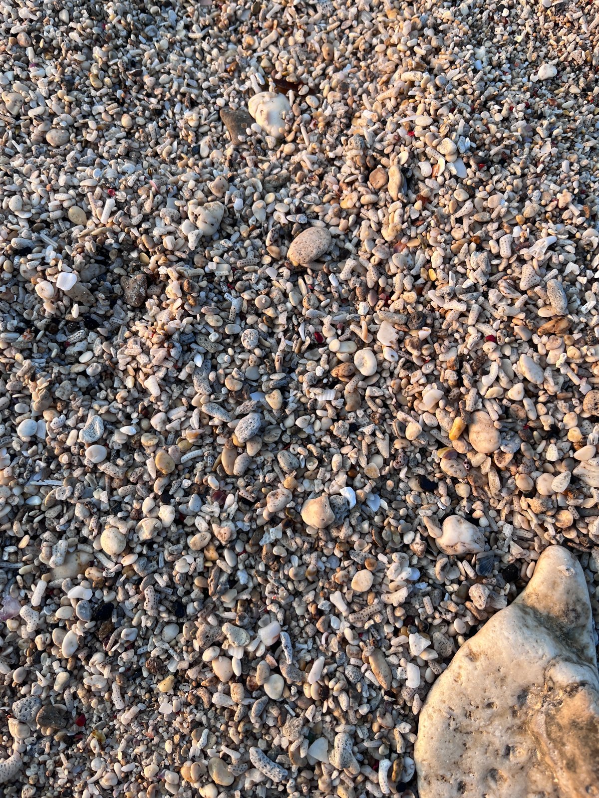 Small pebbles and coral fragments on the shore at Crystal Bay.