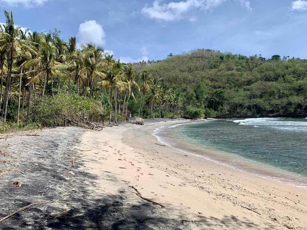 Gamat Bay beach with palms, sand and wooded slopes