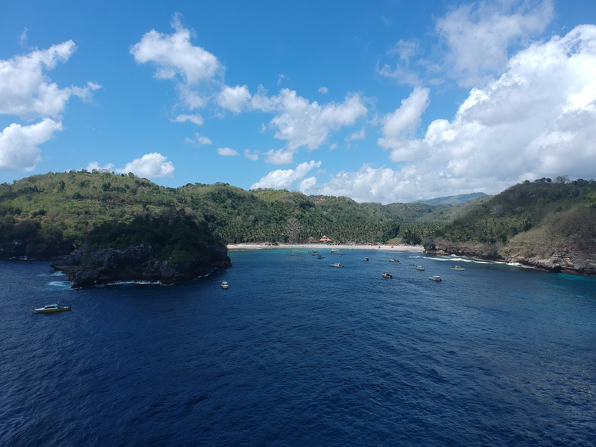 Aerial view along the sand and palm grove at Crystal Bay