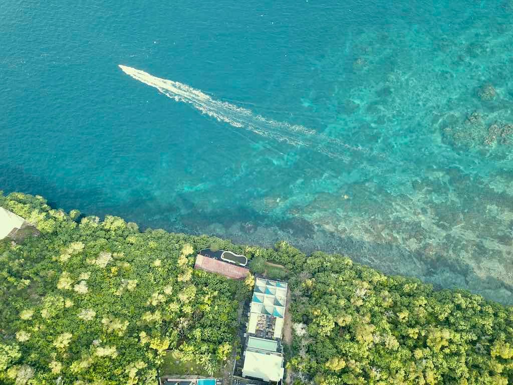 Récif corallien dense sous l'eau au site de plongée et de snorkeling de Toyapakeh à Nusa Penida