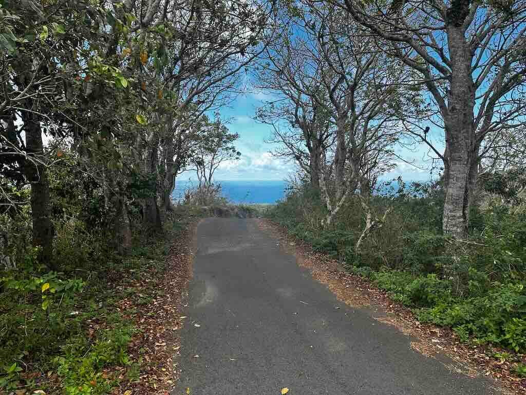 Nusa Penida上的狭窄沥青路。